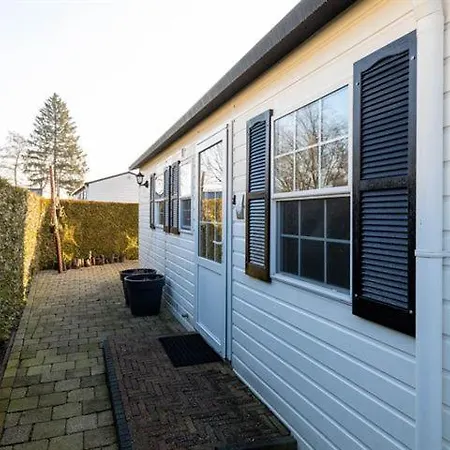 40, Theme Forest World - Dogs Allowed!