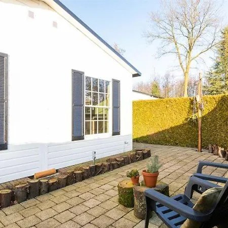 40, Theme Forest World - Dogs Allowed! Oisterwijk