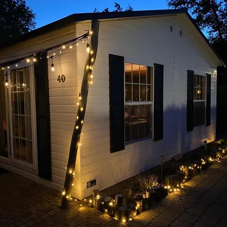 40, Theme Forest World - Dogs Allowed!