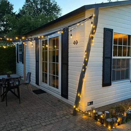 40, Theme Forest World - Dogs Allowed! *