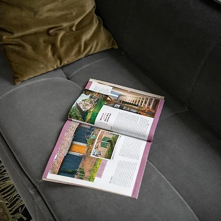 40, Theme Forest World - Dogs Allowed! *