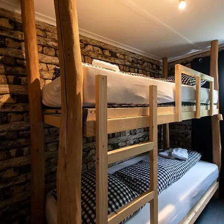 40, Theme Forest World - Dogs Allowed!