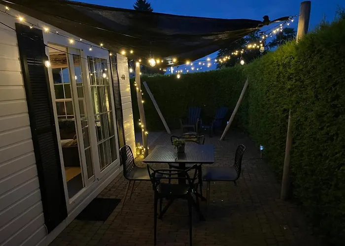 40, Theme Forest World - Dogs Allowed!