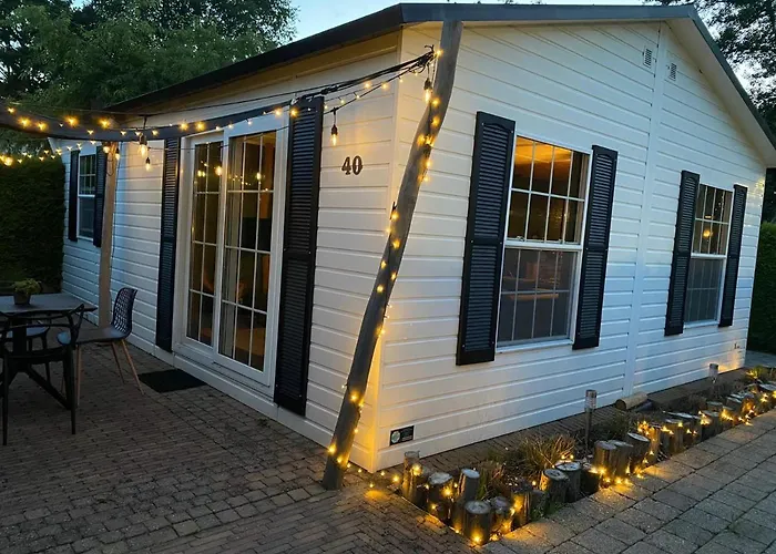 40, Theme Forest World - Dogs Allowed! * Oisterwijk