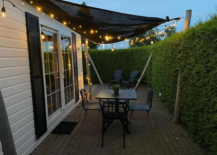 40, Theme Forest World - Dogs Allowed!