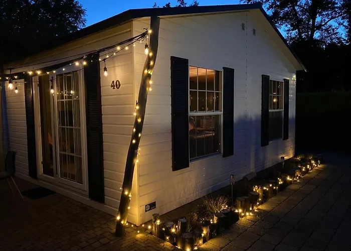 40, Theme Forest World - Dogs Allowed!