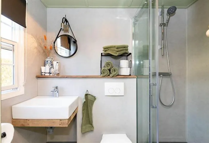 40, Theme Forest World - Dogs Allowed!