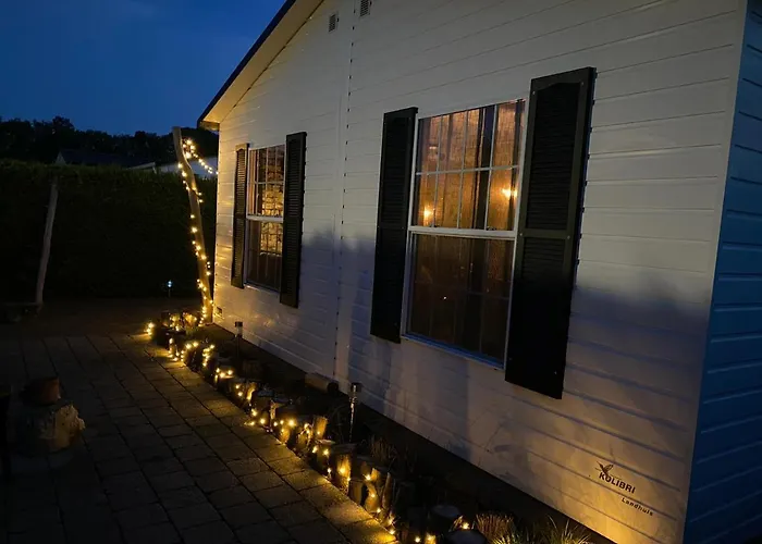 40, Theme Forest World - Dogs Allowed!