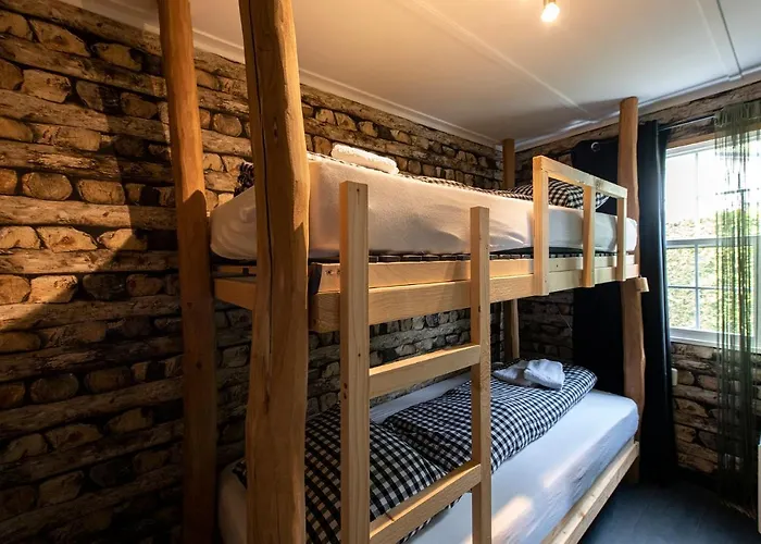 40, Theme Forest World - Dogs Allowed!