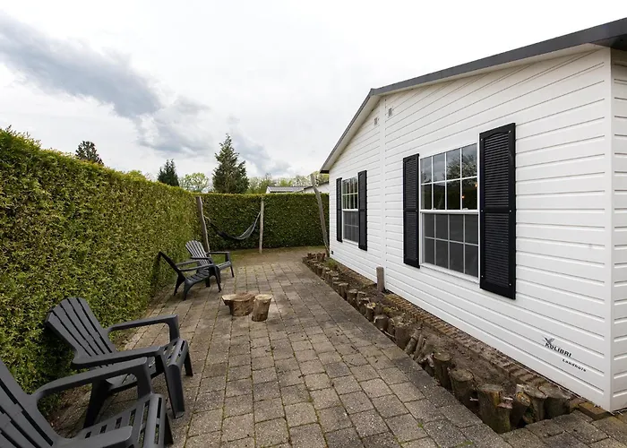 40, Theme Forest World - Dogs Allowed! *