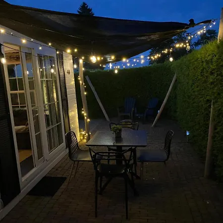 40, Theme Forest World - Dogs Allowed!