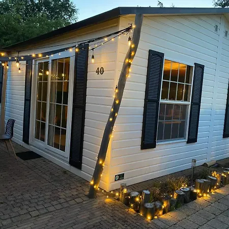 40, Theme Forest World - Dogs Allowed! * 奥斯特韦克