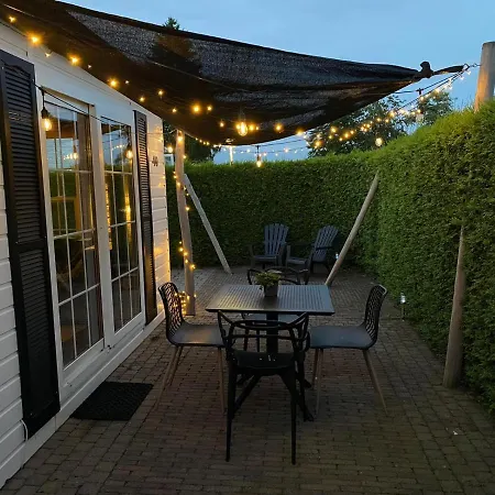 40, Theme Forest World - Dogs Allowed!