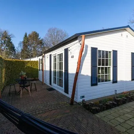 40, Theme Forest World - Dogs Allowed! * 奥斯特韦克