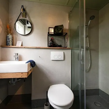 40, Theme Forest World - Dogs Allowed! *