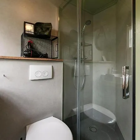 40, Theme Forest World - Dogs Allowed! * 奥斯特韦克