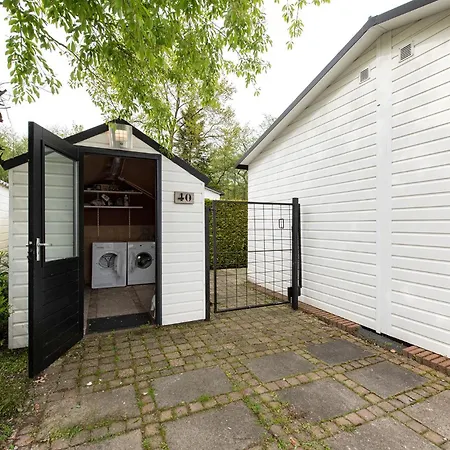 40, Theme Forest World - Dogs Allowed! * 奥斯特韦克