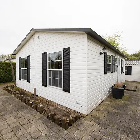 40, Theme Forest World - Dogs Allowed! * 奥斯特韦克