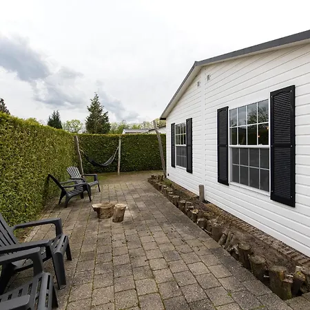 40, Theme Forest World - Dogs Allowed! *