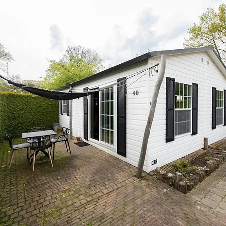 40, Theme Forest World - Dogs Allowed! 木屋 *