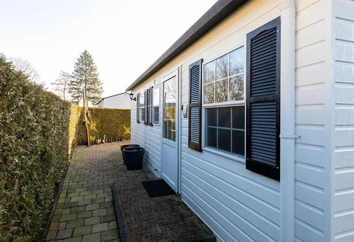 40, Theme Forest World - Dogs Allowed!