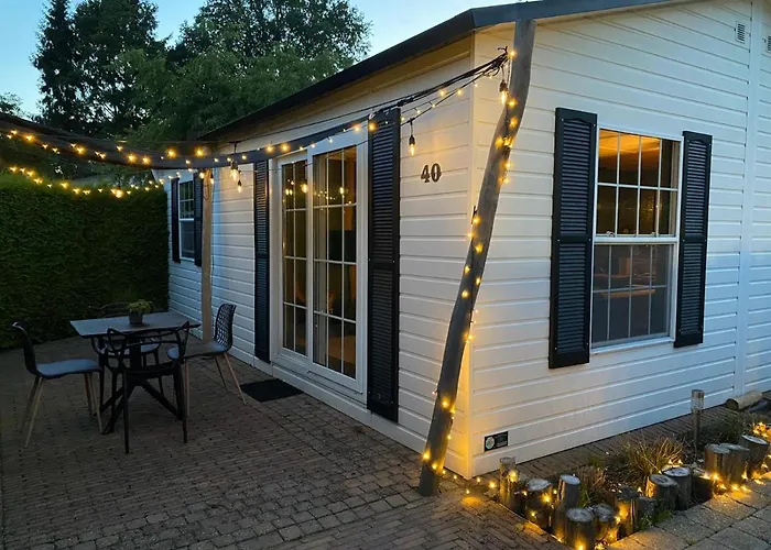 40, Theme Forest World - Dogs Allowed! *