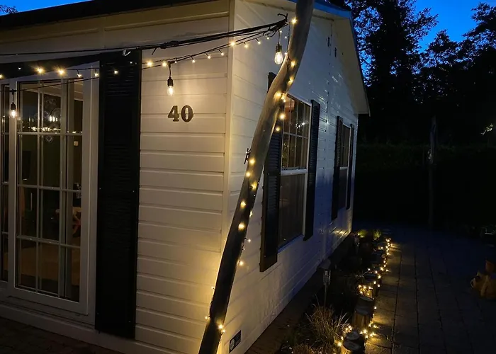 シャレー 40, Theme Forest World - Dogs Allowed!