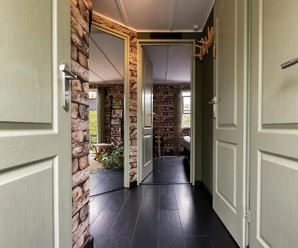 シャレー 40, Theme Forest World - Dogs Allowed!