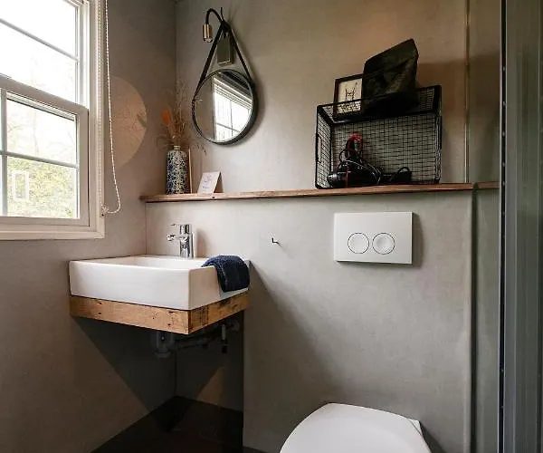 40, Theme Forest World - Dogs Allowed!