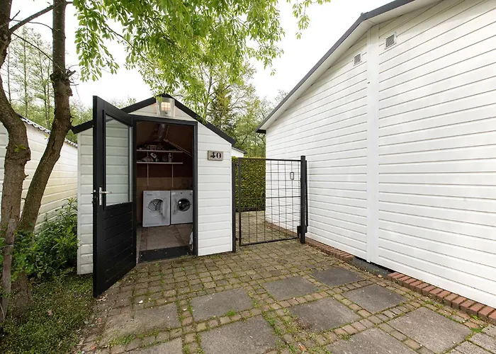 40, Theme Forest World - Dogs Allowed! * オーイステルウェイク