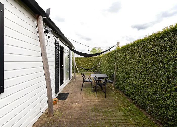 シャレー 40, Theme Forest World - Dogs Allowed!