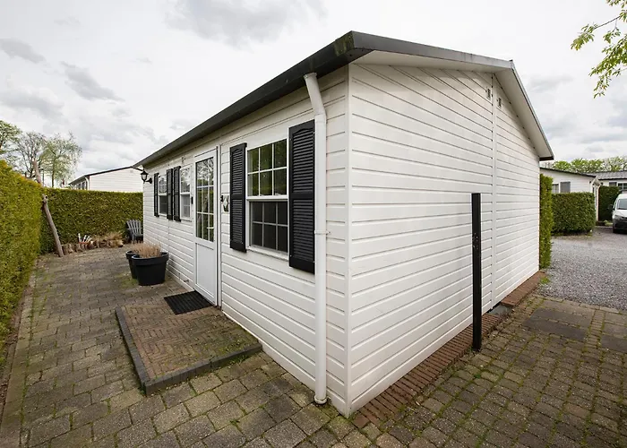 40, Theme Forest World - Dogs Allowed! シャレー *