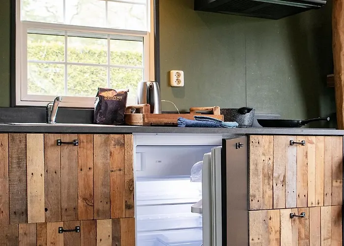 40, Theme Forest World - Dogs Allowed! *